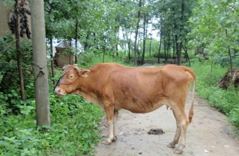 详细阅读:杭州最新求一个套医保卡的黄牛是真的吗方法分析(最方便真实的杭州求一个套医保卡的黄牛是真的吗还是假的方法) 杭州最新求一个套医保卡的黄牛是真的吗方法分析(最方便真实的杭州求一个套医保卡的黄牛是真的吗还是假的方法)